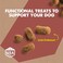 Cloud Star Dynamo Dog Tummy Soft Chews Grain Free Dog Treats Pumpkin Ginger 14 oz Pouch