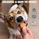 Pack Approved Chicken Chips Crunchy Single Ingredient Dog Treat 100 All Natural Chicken Breast 4oz