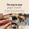 The Honest Kitchen Parmesan Pecks Chicken Parmesan Cranberry Recipe 8 oz Bag