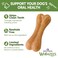 Whimzees Wellness Ricebone Dog Dental Treats Large Size 9 Count