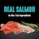 CRAVE Grain Free Adult High Protein Natural Dry Cat Food with Protein from Salmon Ocean Fish 4 lb