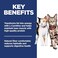 Hill's Science Hills Science Diet Adult 16 Multiple Benefit Dry Cat Food Chicken 155 lb Bag