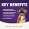 Zignature Lamb Limited Ingredient Formula Dry Dog Food 4lb