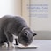 INABA Churu Bisque for Cats Creamy Lickable Pure Side Dish with Vitamin E 14 Ounces per Pouch 12 Pouches Tuna Recipe