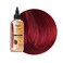 Bigen Semipermanent Haircolor ar4 Apricot Red 3oz 1 Pack 3 Oz