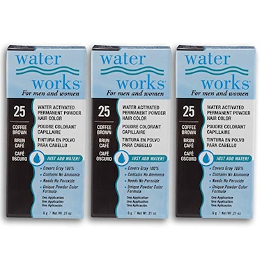 Water Works Hair Color Powder Coffee Brown Permanent Hair Dye for Root TouchUp Full Coverage Men Women 3 Pack