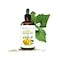 RejuveNaturals Organic Pumpkin Seed Oil LARGE 4OZ Bottle USDA 100 Pure Cold Pressed Boost Hair Growth for Eyelashes Eyebrows Hair Overactive Bladder Control for Men Women Moisturizer