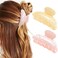 CAKURE Acrylic Claw Clips Pink Hair Clips Cute Hair Claw Barrettes Medium Nonslip Hair Claw Hair Accessories for Women and Girls Pack of 2 apinkchampagne