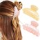 CAKURE Acrylic Claw Clips Pink Hair Clips Cute Hair Claw Barrettes Medium Nonslip Hair Claw Hair Accessories for Women and Girls Pack of 2 apinkchampagne