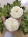 UNIQUE KAFTANS Mogra White Gajra Hair Accessories Gajra Rubber Band for Women Pack of 2White
