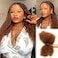 QUEEN VIRGIN QVR Afro Kinkys Bulk Human Hair for Dreadlock Extensions Repair Locs Twist Braiding Afro Kinky Human Hair for Locs 1 Pack 50 Gram