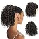 PEACOCO Curly Ponytail Extension Drawstring Ponytails for Black Women 10 Inch Pony Tail Clip on Ponytail Synthetic Short Afro Hairpiece for Daily Use2