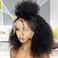 PRIMELACE 13x4 HD Lace Front KinkyCurly Human Hair Wig 18 Inch Pre Plucked 4c Edges Hd Lace Front Wig Human Hair with Baby Hair 180 Density Afro Kinkycurly Glueless Wigs for Black Women
