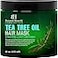 Botanic Hearth Tea Tree Hair Mask Deep Conditioner Moisturizes Protects Hair Scalp With Soy Protein Vitamin E Collagen Keratin Coconut Oil 16 Oz Packaging May Vary