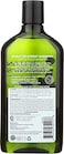 Avalon Organics Shampoo Ttree Trtment