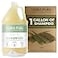 Terra Pure Hotel Shampoo 1 Gallon For Hospitality Vacation Rentals to Refill Dispensers Single Gallon