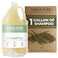 Terra Pure Hotel Shampoo 1 Gallon For Hospitality Vacation Rentals to Refill Dispensers Single Gallon