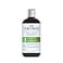 CURLSMITH Frizz Control Shampoo FrizzFighting Shampoo for Curls Removes BuildUp For All Curl Types Vegan Cruelty Free 12 oz