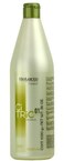 SALERM Salerm Citric Balance 01 Shampoo 360 Ounce