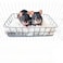 JSLZF Rat Bed Cage Platform Accessories Metal Ferret Hammock with Mat Chew Proof Hanging Squirrel Ledge Small Animal Habitat for Hamster Sugar Glider Blue