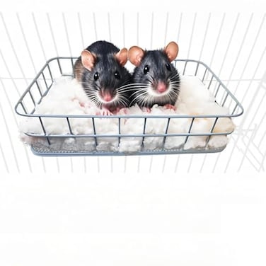JSLZF Rat Bed Cage Platform Accessories Metal Ferret Hammock with Mat Chew Proof Hanging Squirrel Ledge Small Animal Habitat for Hamster Sugar Glider Blue