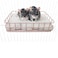 JSLZF Rat Cage Platform Accessories Hanging Rat Ledge Metal Ferret Hammock Squirrel Cage Bed Small Animal Habitat for Hamster Sugar Glider