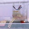 JSLZF Rat Cage Platform Accessories Hanging Rat Ledge Metal Ferret Hammock Squirrel Cage Bed Small Animal Habitat for Hamster Sugar Glider