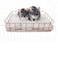 JSLZF Rat Cage Platform Accessories Hanging Rat Ledge Metal Ferret Hammock Squirrel Cage Bed Small Animal Habitat for Hamster Sugar Glider
