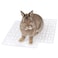 Niteangel 2pcs Rabbit Cage Mat Durable Foot Resting Pads for Bunny Guinea Pigs Chinchillas Cats Dog and Othe Small pet