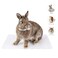 Niteangel 2pcs Rabbit Cage Mat Durable Foot Resting Pads for Bunny Guinea Pigs Chinchillas Cats Dog and Othe Small pet