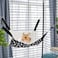 Wontee 2 Pack Small Animal Hammock Soft Fleece Sleeping Bed for Mice Rat Chinchilla Guinea Pig Ferret Kitten Cat Rabbit S 106x106inch Black White Dot