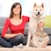 Hotop 8 Pack dogs Collar Bells Small Cat Bells Collar Charm for Puppy Hanging Ring Decoration Pet Pendant Accessories Antilost Tracker DIY Crafts for Pets UseSilver