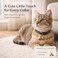 kcrygogo Copper Bell for Small Pet Collar Bell for Cats and Medium Small Dog Cat Collar Bells Loud Brass Pet Safety Bells Antitheft BellFits All Size Collars4pcs