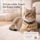 kcrygogo Copper Bell for Small Pet Collar Bell for Cats and Medium Small Dog Cat Collar Bells Loud Brass Pet Safety Bells Antitheft BellFits All Size Collars4pcs