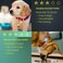 WHALEZON Airtag Holder for Cat Air Tag Case for Cat Collar and Small Dog Collar