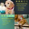 WHALEZON Airtag Holder for Cat Air Tag Case for Cat Collar and Small Dog Collar