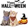 ADOGGYGO Halloween Cat Collars Breakaway with Removable Bandana 2 Pack Adjustable Kitten Collar Pumpkin Bandana Collar for Kittens Cat