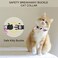 OEBEESA Airtag Cat Collar with Bell Adjustable Breakaway Kitten Collars Safety Buckle and Silicone Air Tag Holder Case Compatible with Apple Airtag Geometric Pattern Pet Collar Pink