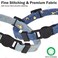 DILLYBUD Breakaway Cat Collars 3 Pack Adjustable Soft Kitten Collars with Removable Bell Charm Washable Durable Collar for Boy Girl Cats Safety Collar for Small Medium Puppies Indoor Outdoor Use 812
