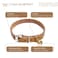Filbert Leather Cat Collar Reflective Cat Collar Leather Accessories with Bell Bird Warning Suitable for Indoor and Outdoor Non Breakaway Durable Stylish Design Camel
