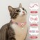 JJUNW 2Pack Adorable Cat Collar with Bow Cute Kitten Collars for Girl Cats Pink Cat Bows Accessories Breakaway Safety Cat Bowtie CollarStyle 1