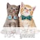 KUDES 2 PackSet Cat Collar Breakaway with Cute Bow Tie and Bell for Kitty and Some Puppies Adjustable from 78105 Inch CyanBlueBlueGray Plaid