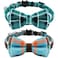 KUDES 2 PackSet Cat Collar Breakaway with Cute Bow Tie and Bell for Kitty and Some Puppies Adjustable from 78105 Inch CyanBlueBlueGray Plaid