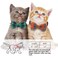 KUDES 2 PackSet Cat Collar Breakaway with Cute Bow Tie and Bell for Kitty and Some Puppies Adjustable from 78105 Inch GreenOrange Plaid