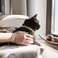 Pettsie Breakaway Cat Collar with Matching Friendship Bracelet for Humans