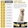 WimuPath GoldPlated Diamond Dog Collar Cuban Style Metal Chain with Secure Buckle Luxury Durable Collar for SmallMediumLarge Dogs Puppies