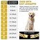 WimuPath GoldPlated Diamond Dog Collar Cuban Style Metal Chain with Secure Buckle Luxury Durable Collar for SmallMediumLarge Dogs Puppies