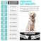 WimuPath SilverPlated Diamond Dog Collar Cuban Style Metal Chain with Secure Buckle Luxury Durable Collar for SmallMediumLarge Dogs Puppies