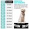 WimuPath SilverPlated Diamond Dog Collar Cuban Style Metal Chain with Secure Buckle Luxury Durable Collar for SmallMediumLarge Dogs Puppies