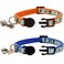Barleygoo 2 Pack Glow in The Dark Cat Collar with Bell Breakaway Safety Cat Puppy Collars with Pendant Orange and Blue